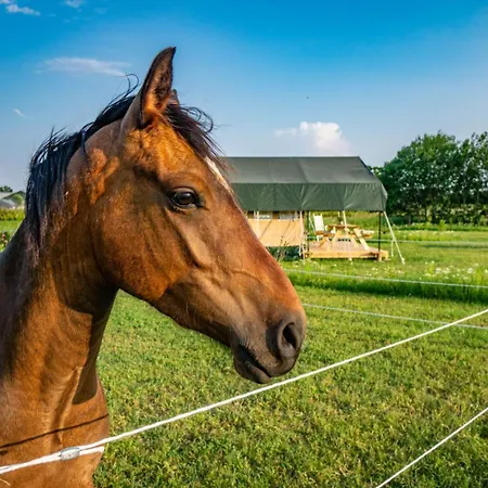Hoeve Klein Haneveld Sint-Oedenrode